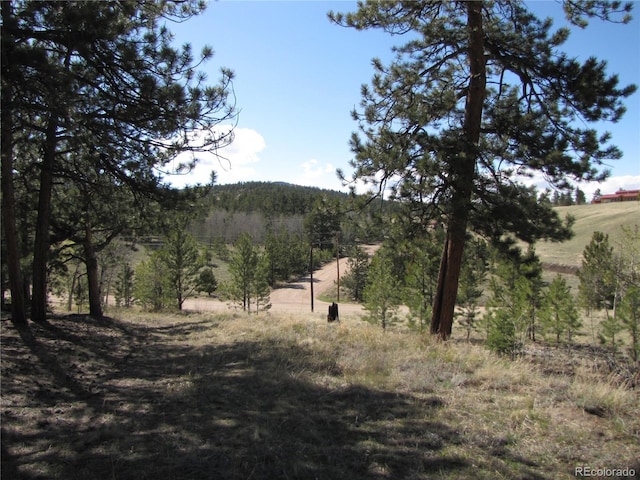 10073 Ranch Rd, Hartsel, CO 80449 - photo 4