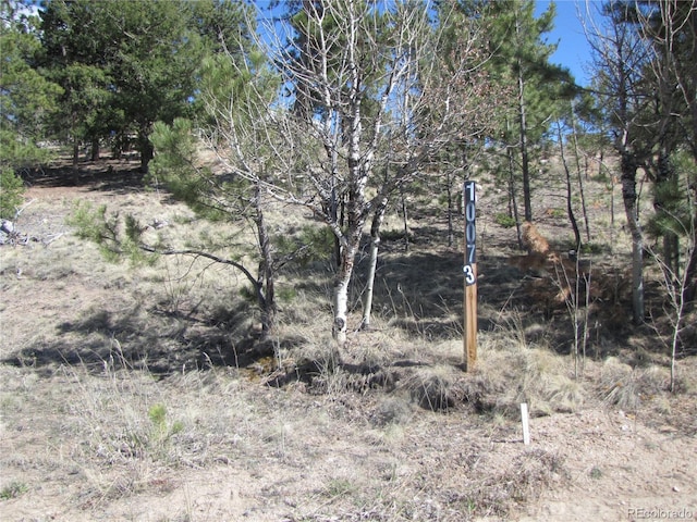 10073 Ranch Rd, Hartsel, CO 80449 - photo 5
