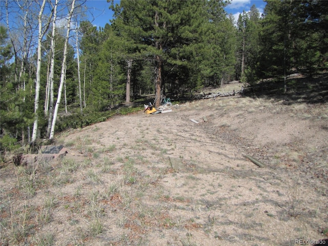 10073 Ranch Rd, Hartsel, CO 80449 - photo 6