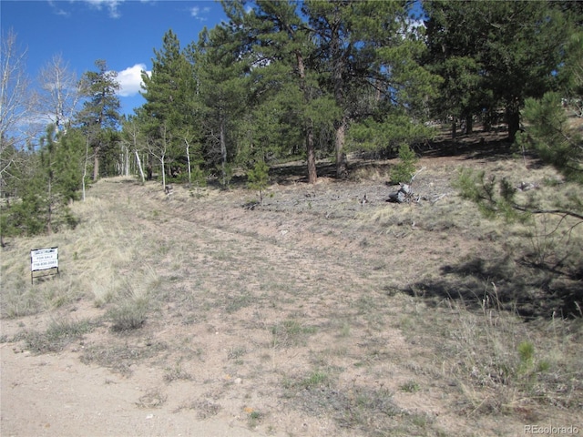 10073 Ranch Rd, Hartsel, CO 80449 - photo 7