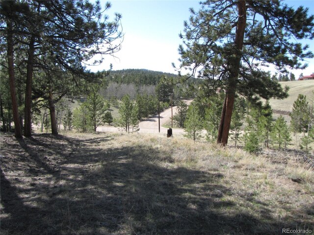 10073 Ranch Rd, Hartsel, CO 80449 - photo 9
