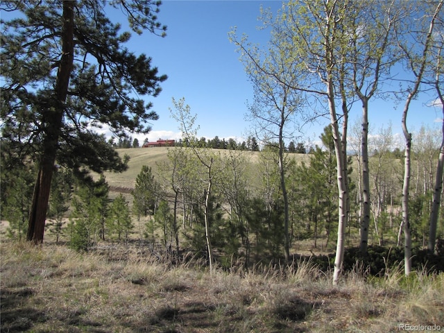 10073 Ranch Rd, Hartsel, CO 80449 - photo 10
