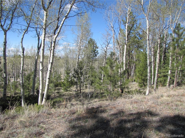 10073 Ranch Rd, Hartsel, CO 80449 - photo 11