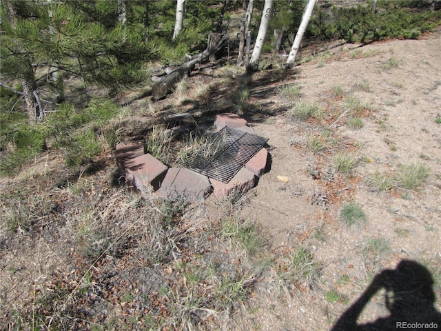 10073 Ranch Rd, Hartsel, CO 80449 - photo 12