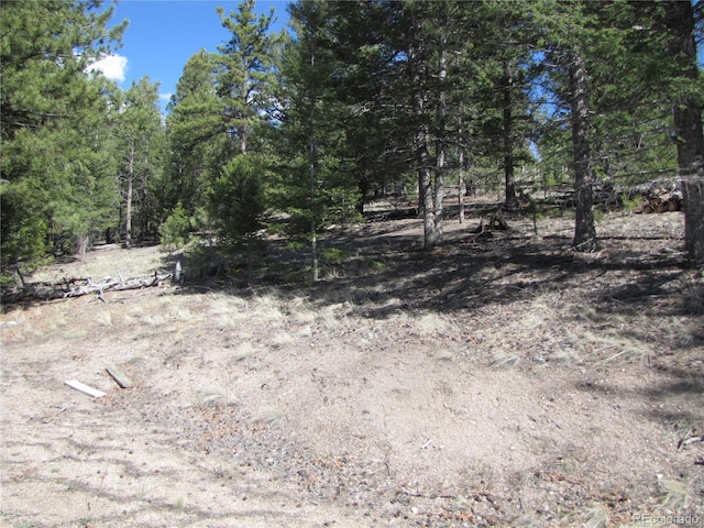 10073 Ranch Rd, Hartsel, CO 80449 - photo 13