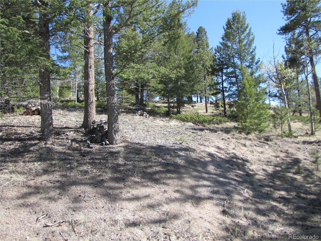 10073 Ranch Rd, Hartsel, CO 80449 - photo 14