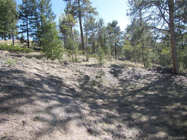 10073 Ranch Rd, Hartsel, CO 80449 - photo 15