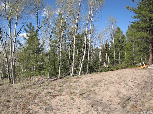 10073 Ranch Rd, Hartsel, CO 80449 - photo 16