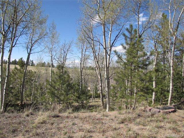 10073 Ranch Rd, Hartsel, CO 80449 - photo 17