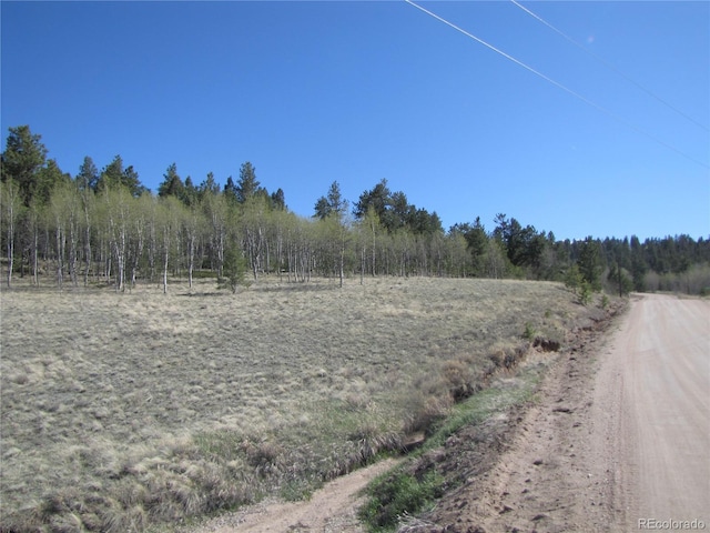 10073 Ranch Rd, Hartsel, CO 80449 - photo 19