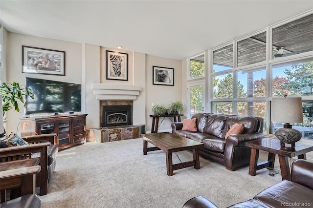 living room featuring carpet floors