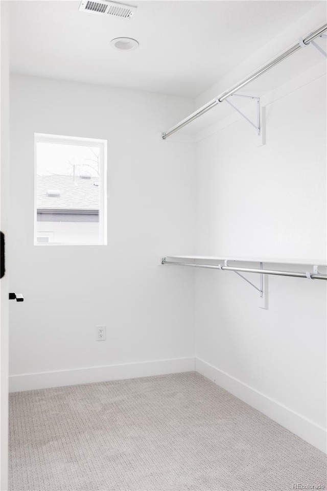 spacious closet featuring carpet flooring and visible vents