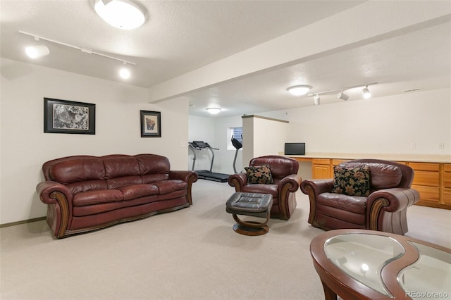 carpeted living room with rail lighting and a textured ceiling