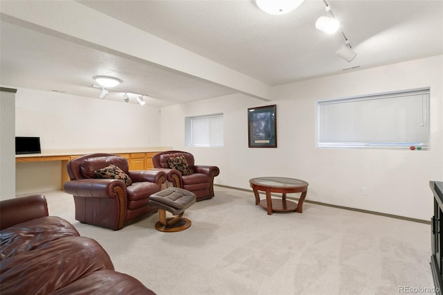 6545 Bonifas Ct, Colorado Springs, CO 80919 - living room with track lighting, baseboards, and light carpet