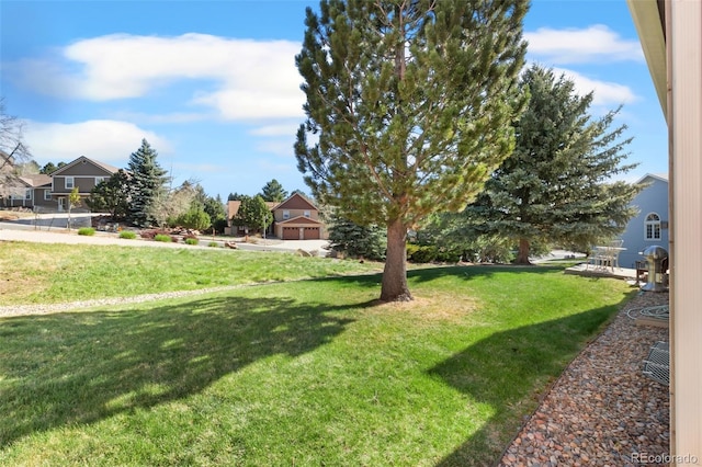 6545 Bonifas Ct, Colorado Springs, CO 80919 - view of yard