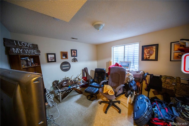 9950 Sydney Ln, Highlands Ranch, CO 80130 - playroom featuring carpet and a textured ceiling
