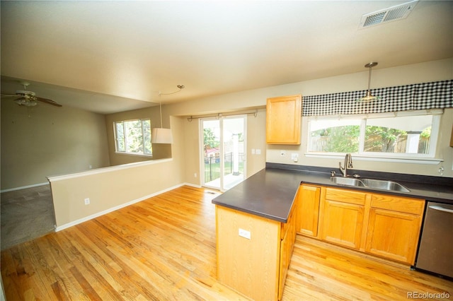 9950 Sydney Ln, Highlands Ranch, CO 80130 - photo 7