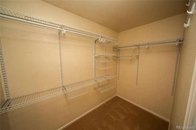 9950 Sydney Ln, Highlands Ranch, CO 80130 - photo 10