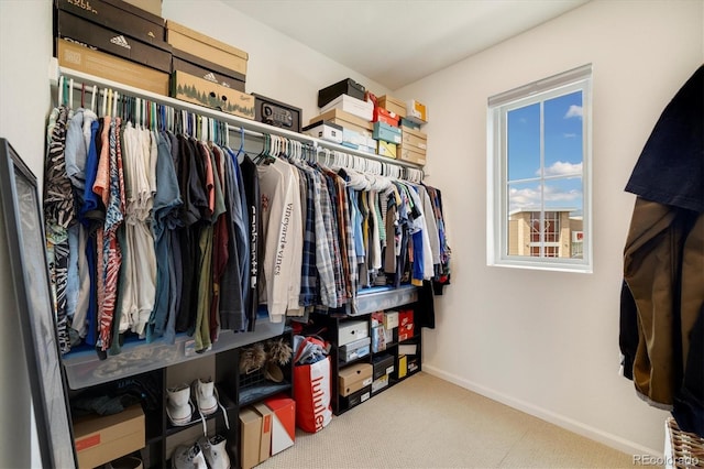 8586 Holman Ct Unit A, Arvada, CO 80005 - walk in closet featuring carpet flooring