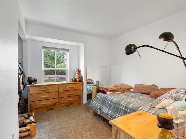 16535 W 79th Dr, Arvada, CO 80007 - photo 39