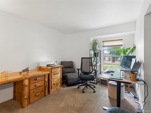 16535 W 79th Dr, Arvada, CO 80007 - photo 41