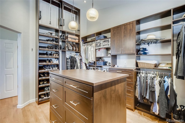 9451 Desert Willow Trl, Highlands Ranch, CO 80129 - spacious closet with light wood-style flooring
