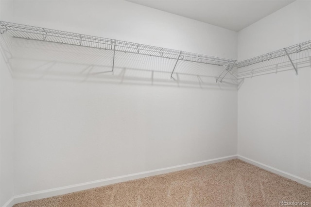 9672 Cathay St, Commerce City, CO 80022 - walk in closet featuring carpet flooring
