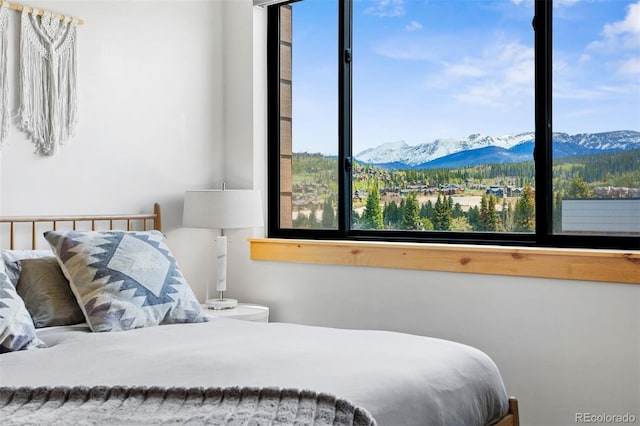 294 Lions Gate Dr, Winter Park, CO 80482 - photo 18