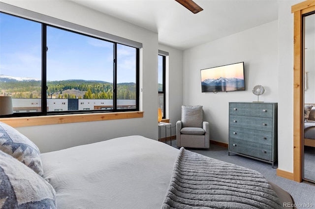294 Lions Gate Dr, Winter Park, CO 80482 - photo 19