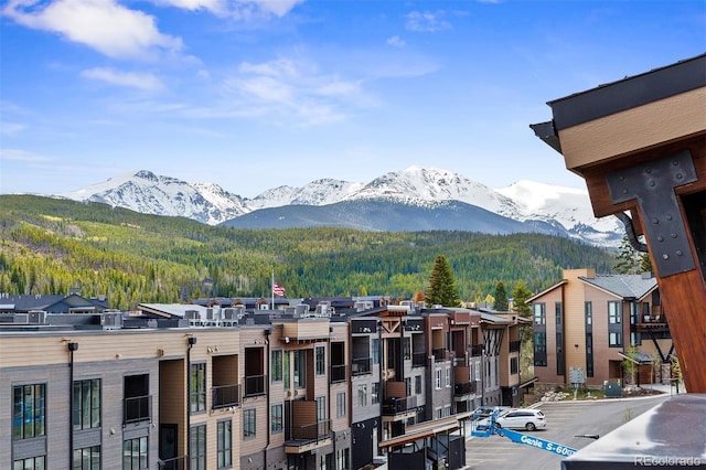 294 Lions Gate Dr, Winter Park, CO 80482 - photo 36