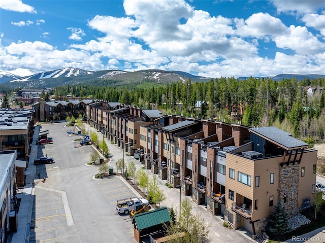 294 Lions Gate Dr, Winter Park, CO 80482 - photo 40
