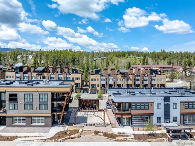 294 Lions Gate Dr, Winter Park, CO 80482 - photo 42