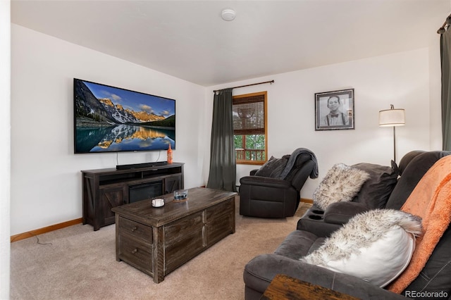 480 Witcher Ln, Fairplay, CO 80440 - photo 8