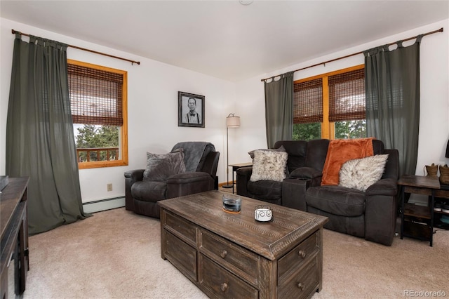 480 Witcher Ln, Fairplay, CO 80440 - photo 9