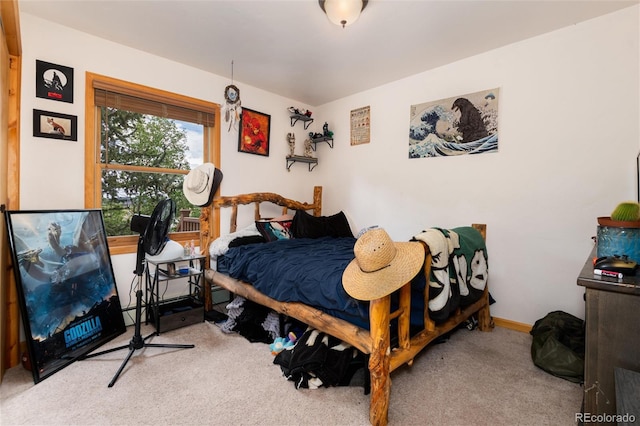 480 Witcher Ln, Fairplay, CO 80440 - photo 18