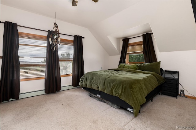 480 Witcher Ln, Fairplay, CO 80440 - photo 23