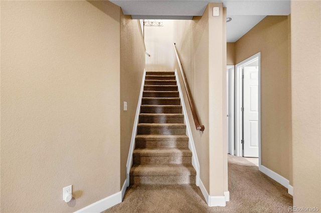 stairway with carpet floors