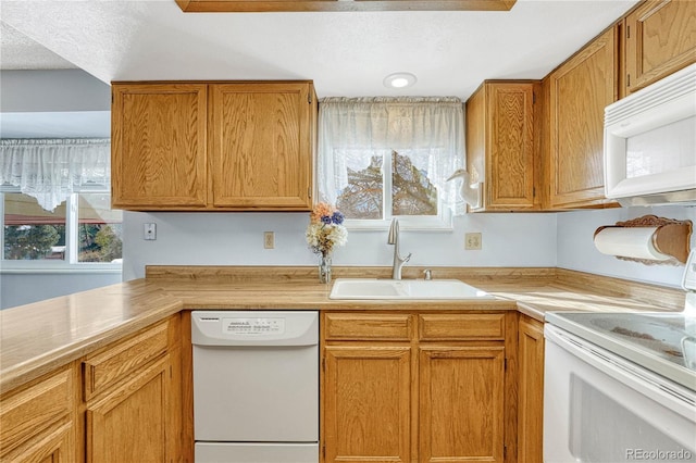 kitchen featuring sink, white appliances, and a wealth of natural light