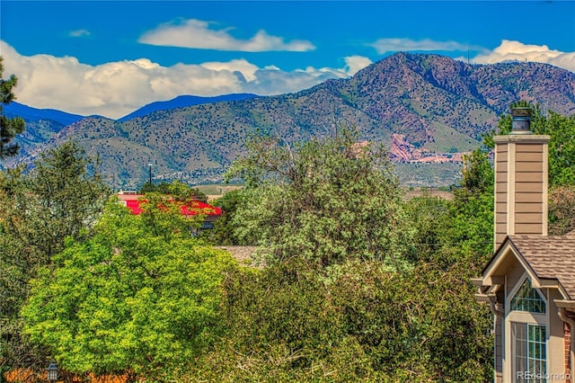 4760 S Wadsworth Blvd Unit 302, Littleton, CO 80123 - mountain view
