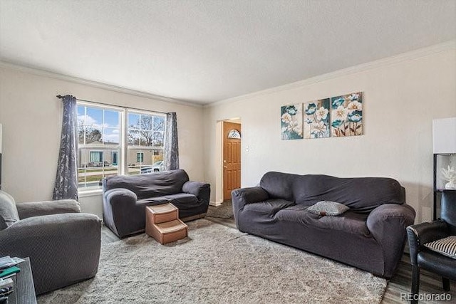 living room with a textured ceiling and ornamental molding