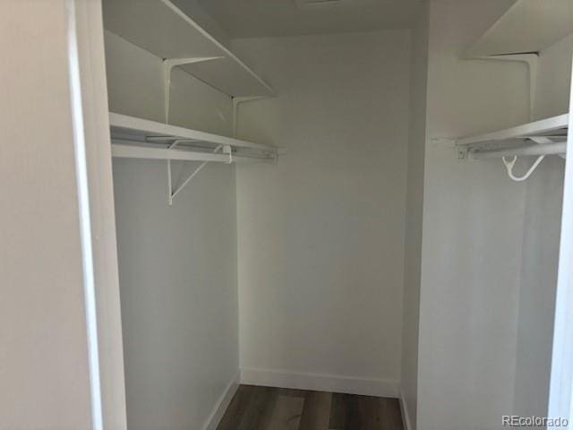 walk in closet featuring dark hardwood / wood-style floors