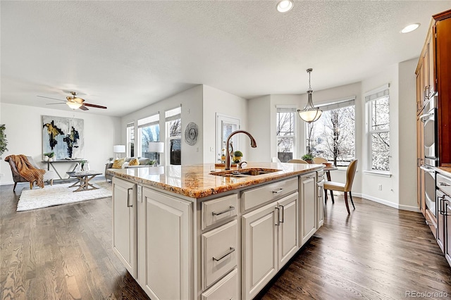 kitchen featuring dark wood-style floors, a wealth of natural light, open floor plan, and a sink