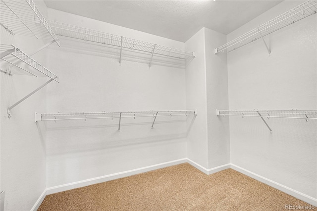 walk in closet featuring carpet floors