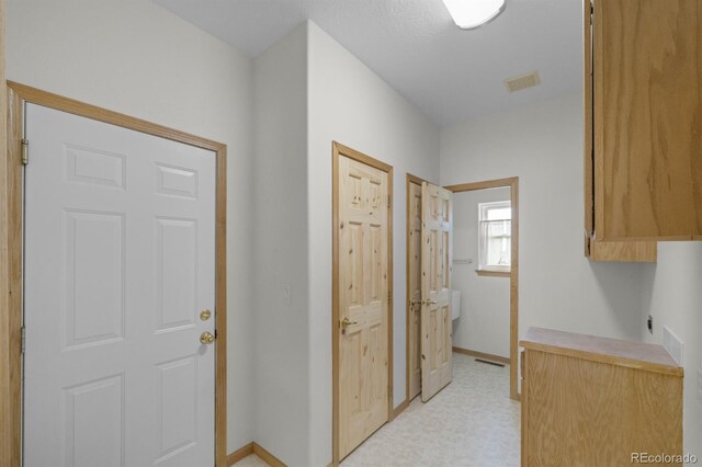 32501 E 137th Way, Brighton, CO 80603 - corridor with baseboards and light flooring