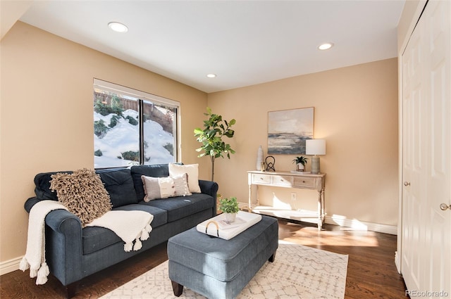 living room featuring dark hardwood / wood-style flooring