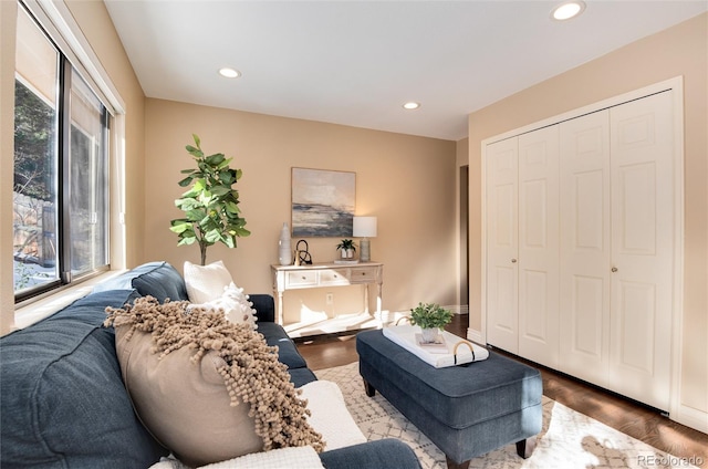 living room with hardwood / wood-style flooring