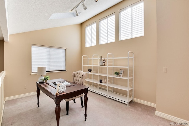 carpeted home office featuring a textured ceiling, track lighting, and a skylight