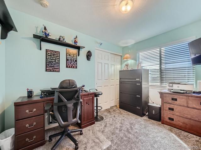 view of carpeted office