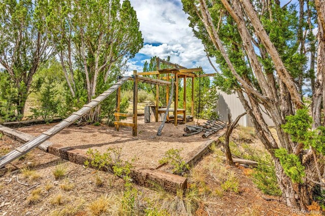 view of jungle gym