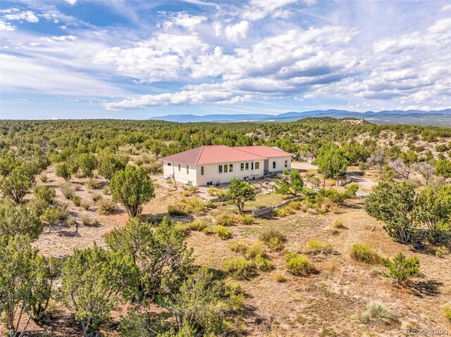 birds eye view of property featuring a mountain view